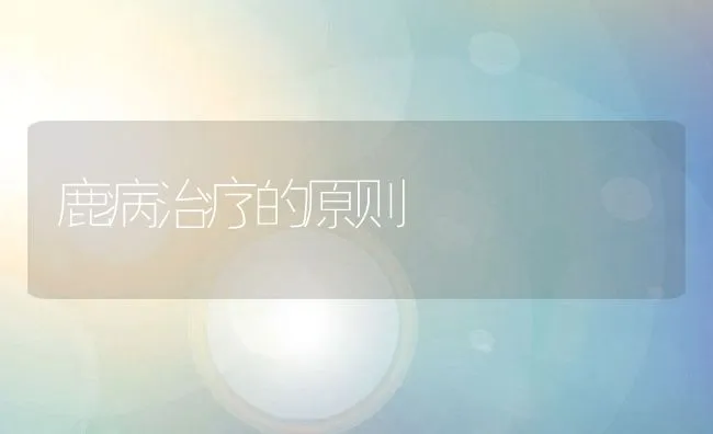 罗非鱼与对虾套养技术 | 海水养殖技术