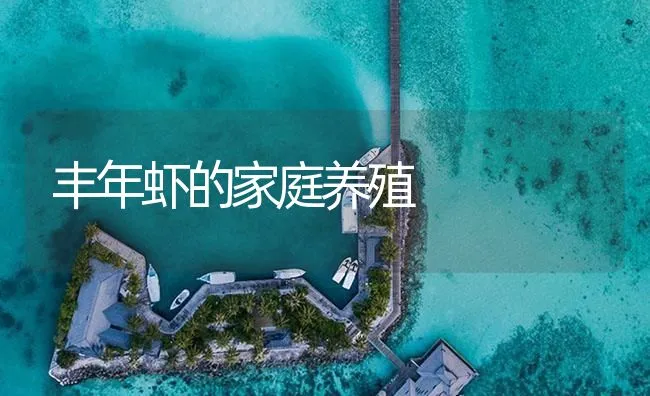 丰年虾的家庭养殖 | 海水养殖技术