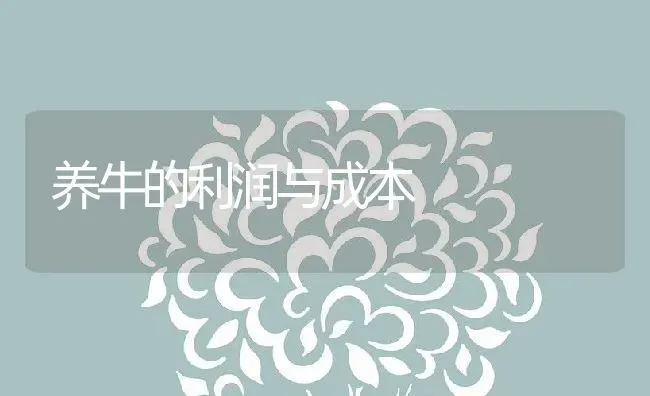 养牛的利润与成本 | 动物养殖教程