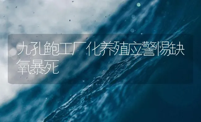 九孔鲍工厂化养殖应警惕缺氧暴死 | 海水养殖技术