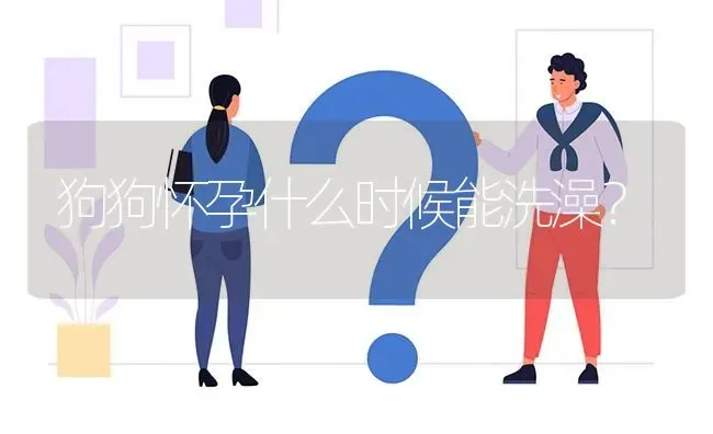 狗狗怀孕什么时候能洗澡？ | 动物养殖问答