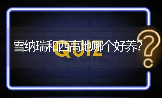 匈牙利维兹拉犬价格通常人民币两千九百八十六元？ | 动物养殖问答