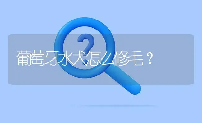 葡萄牙水犬怎么修毛？ | 动物养殖问答