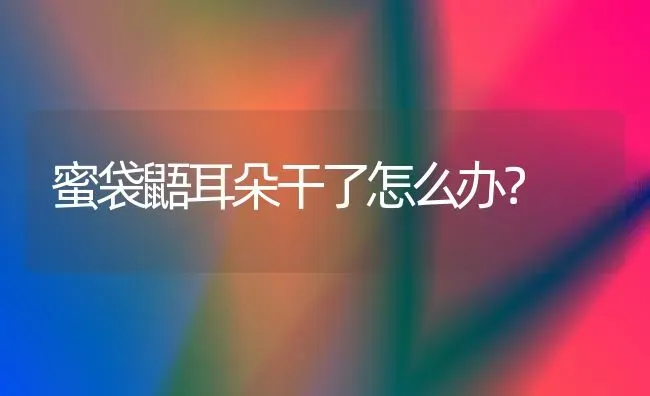 狗狗怀孕50天今天排出黑绿色物体下午产下两个死胎怎么回事？ | 动物养殖问答