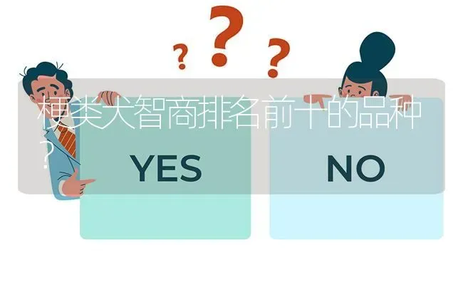 梗类犬智商排名前十的品种？ | 动物养殖问答