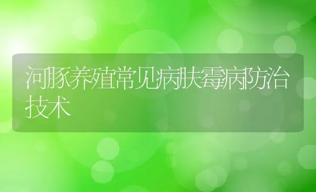 河豚养殖常见病肤霉病防治技术 | 动物养殖教程