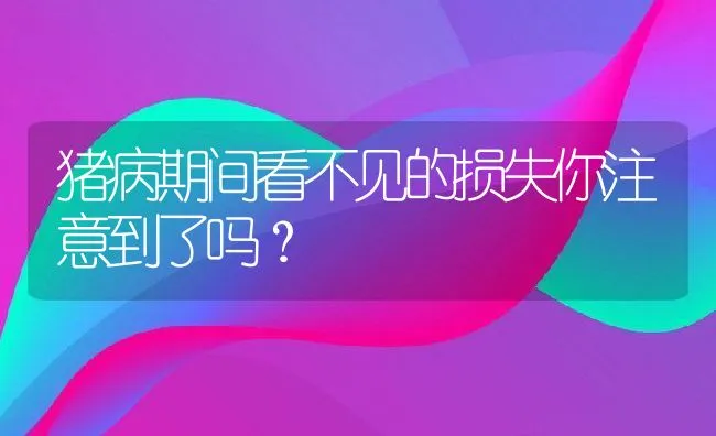 猪病期间看不见的损失你注意到了吗？ | 动物养殖饲料