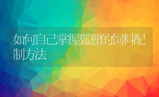 如何自己掌握狐狸的饲料配制方法 | 动物养殖教程