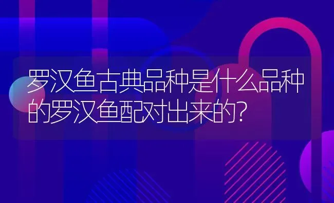 罗汉鱼古典品种是什么品种的罗汉鱼配对出来的？ | 鱼类宠物饲养