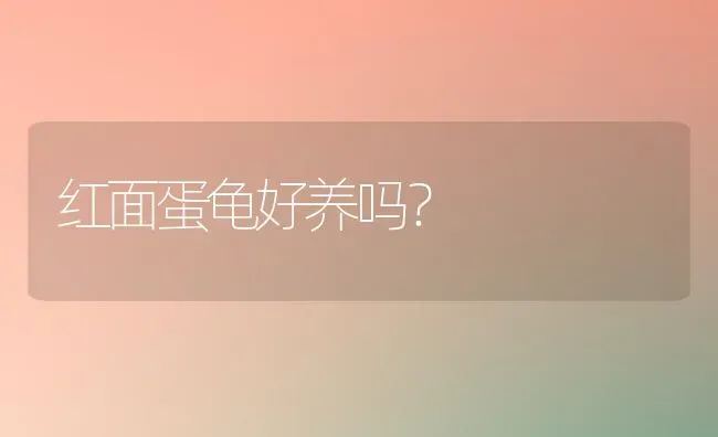 红面蛋龟好养吗？ | 动物养殖问答