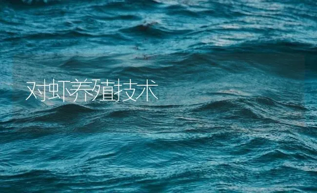 对虾养殖技术 | 海水养殖技术