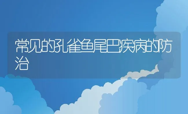 獭兔选种标准探讨 | 动物养殖学堂