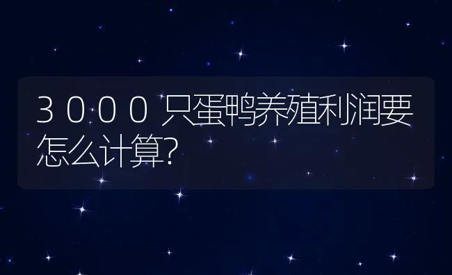 3000只蛋鸭养殖利润要怎么计算？ | 动物养殖百科