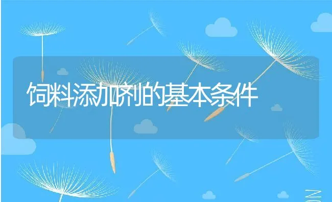 鳜鱼病害防治要点 | 海水养殖技术