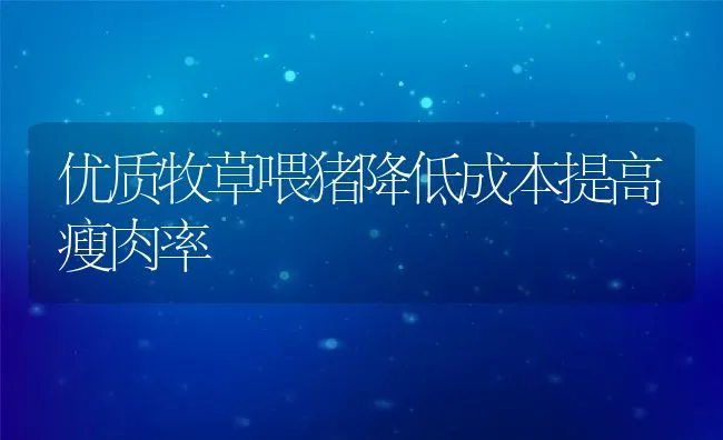 优质牧草喂猪降低成本提高瘦肉率 | 动物养殖饲料