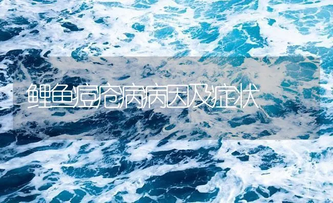 鲤鱼痘疮病病因及症状 | 海水养殖技术