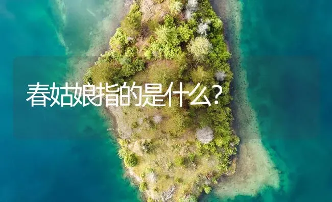 春姑娘指的是什么？ | 鱼类宠物饲养