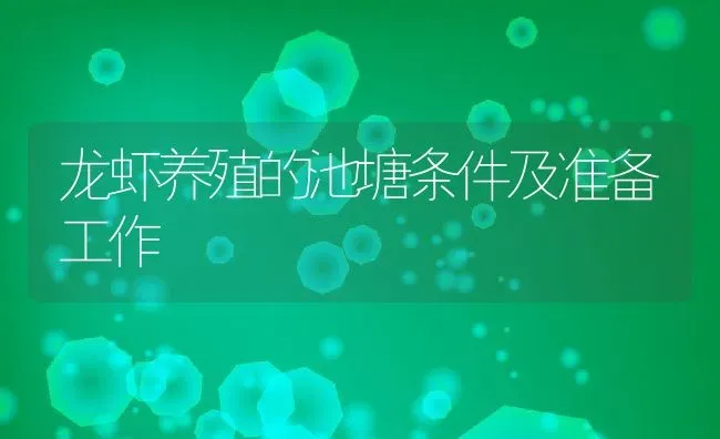 龙虾养殖的池塘条件及准备工作 | 动物养殖教程