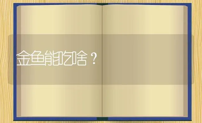 金鱼能吃啥？ | 鱼类宠物饲养