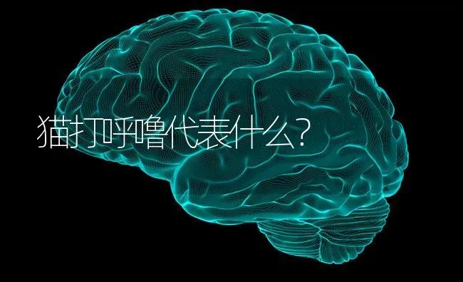 一个多月的柯基吃多少狗粮合适？ | 动物养殖问答