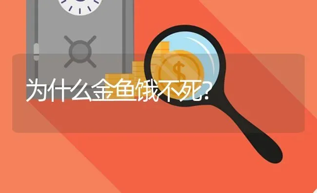 如何布丁仓鼠的年龄？ | 动物养殖问答