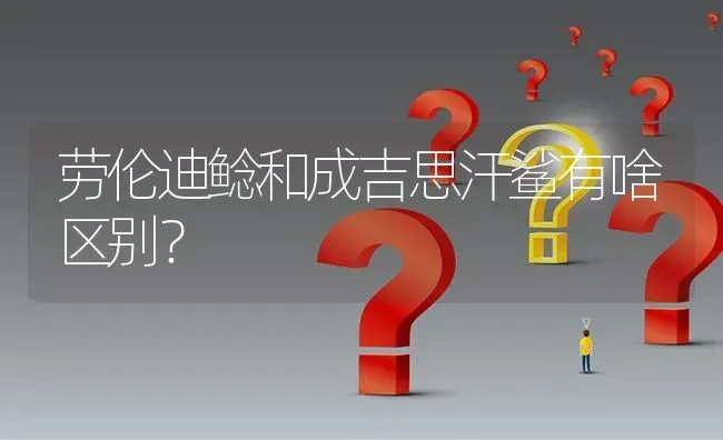 劳伦迪鲶和成吉思汗鲨有啥区别？ | 鱼类宠物饲养