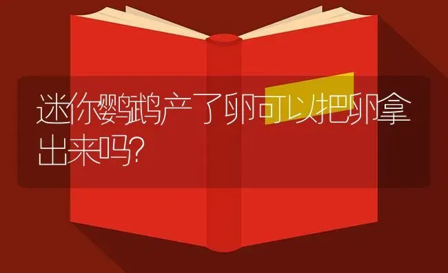 迷你鹦鹉产了卵可以把卵拿出来吗？ | 鱼类宠物饲养