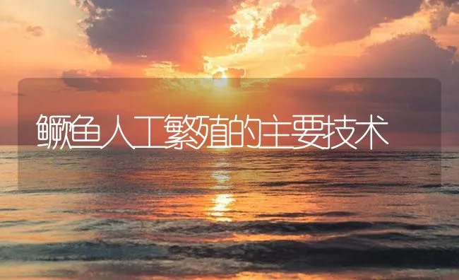 鳜鱼人工繁殖的主要技术 | 海水养殖技术