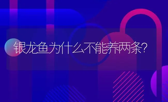 为什么小米手机出厂设置一直卡在一个兔子界面？ | 动物养殖问答