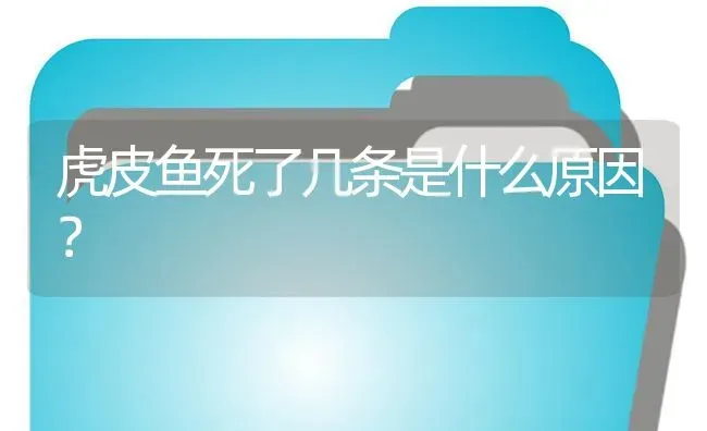 虎皮鱼死了几条是什么原因？ | 鱼类宠物饲养