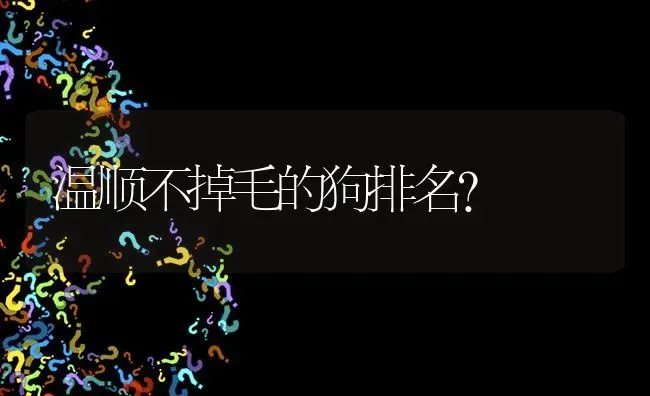 温顺不掉毛的狗排名？ | 动物养殖问答