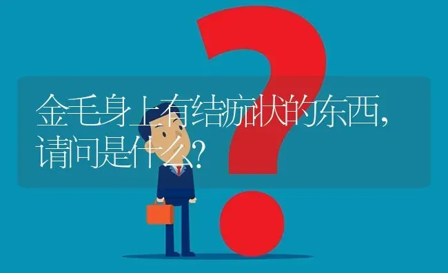 金毛身上有结痂状的东西，请问是什么？ | 动物养殖问答