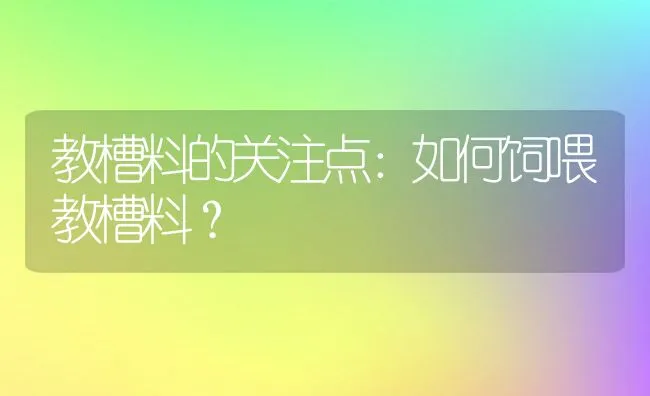 教槽料的关注点：如何饲喂教槽料？ | 动物养殖学堂