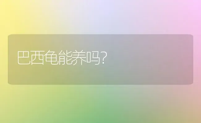 我家金毛2个月不到，为什么有人说像土狗？ | 动物养殖问答