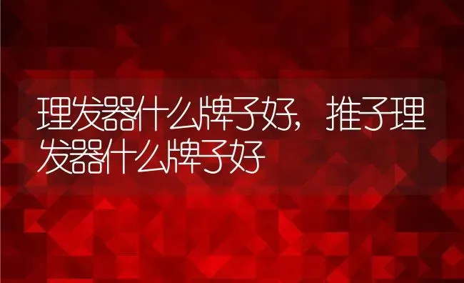 理发器什么牌子好,推子理发器什么牌子好 | 宠物百科知识