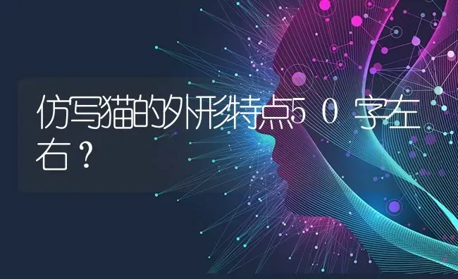 仿写猫的外形特点50字左右？ | 动物养殖问答