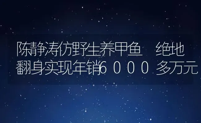 陈静涛仿野生养甲鱼 绝地翻身实现年销6000多万元 | 动物养殖百科