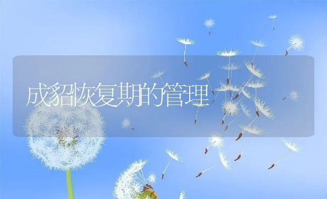 成貂恢复期的管理 | 水产养殖知识