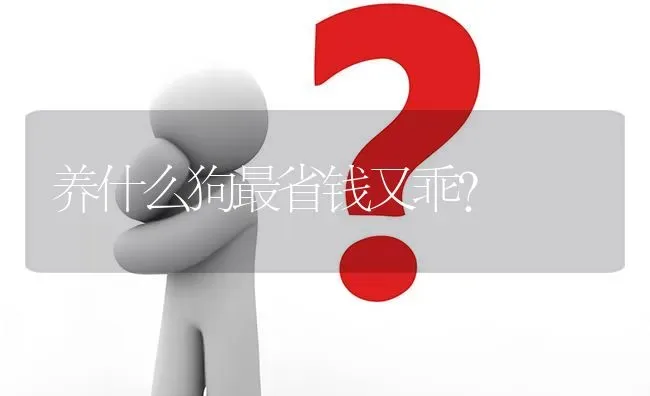 养什么狗最省钱又乖？ | 动物养殖问答