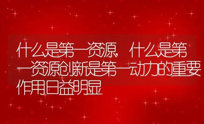 什么是第一资源,什么是第一资源创新是第一动力的重要作用日益明显 | 宠物百科知识