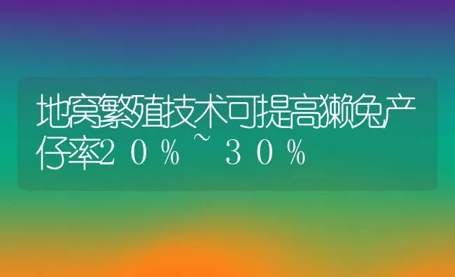 地窝繁殖技术可提高獭兔产仔率20%~30% | 动物养殖学堂