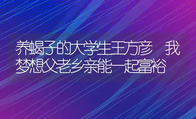 养蝎子的大学生王方彦 我梦想父老乡亲能一起富裕 | 动物养殖教程