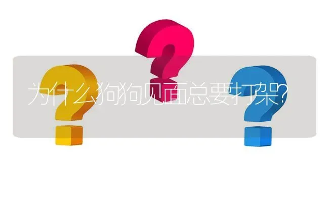 为什么狗狗见面总要打架？ | 动物养殖问答