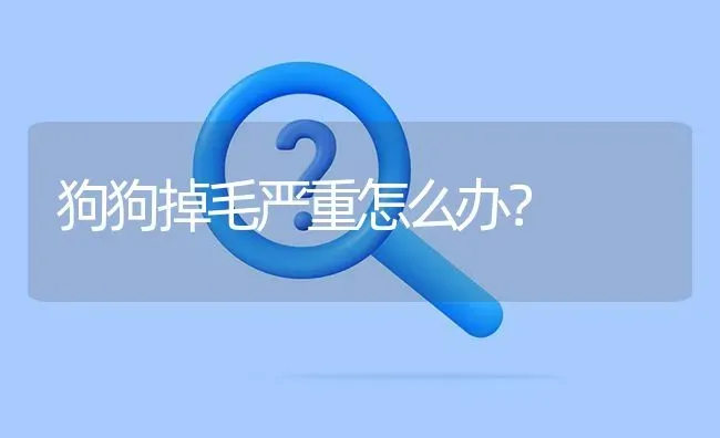 狗狗掉毛严重怎么办？ | 动物养殖问答