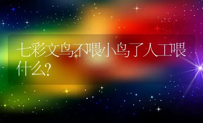 七彩文鸟不喂小鸟了人工喂什么？ | 动物养殖问答