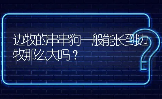 边牧的串串狗一般能长到边牧那么大吗？ | 动物养殖问答