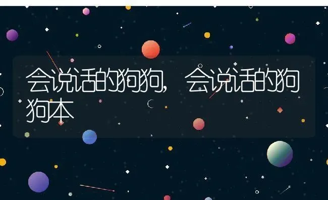 会说话的狗狗,会说话的狗狗本 | 宠物百科知识