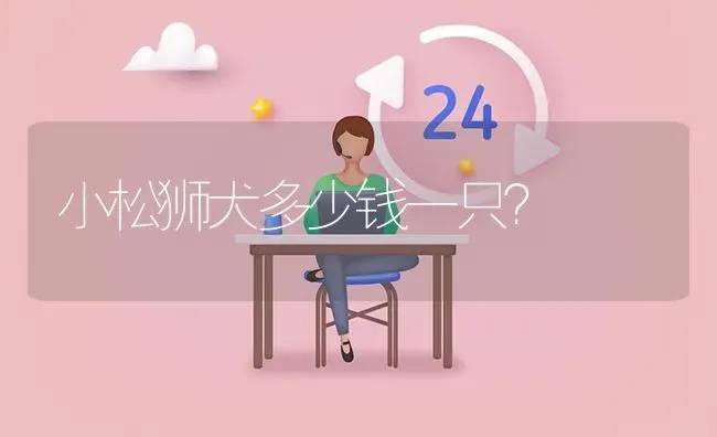 小松狮犬多少钱一只？ | 动物养殖问答