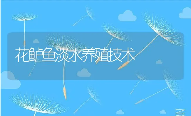 花鲈鱼淡水养殖技术 | 动物养殖饲料