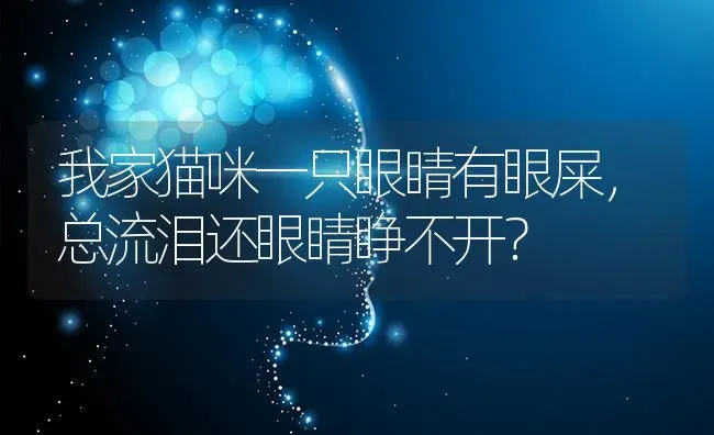 最好最贵的德牧多少钱？什么生活待遇？ | 动物养殖问答